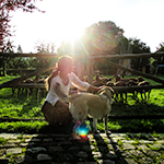 ADilthey_4Linden_Kachel5_41